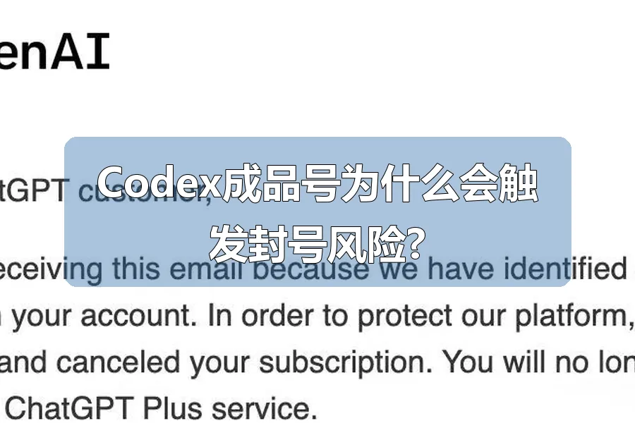 Codex成品号为什么会触发封号风险?
